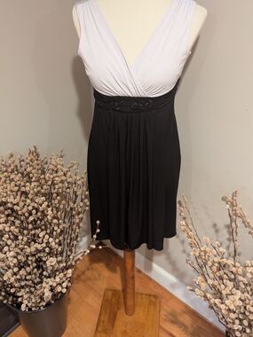 Sleeveless Black and White V-Neck Empire Waist Dress